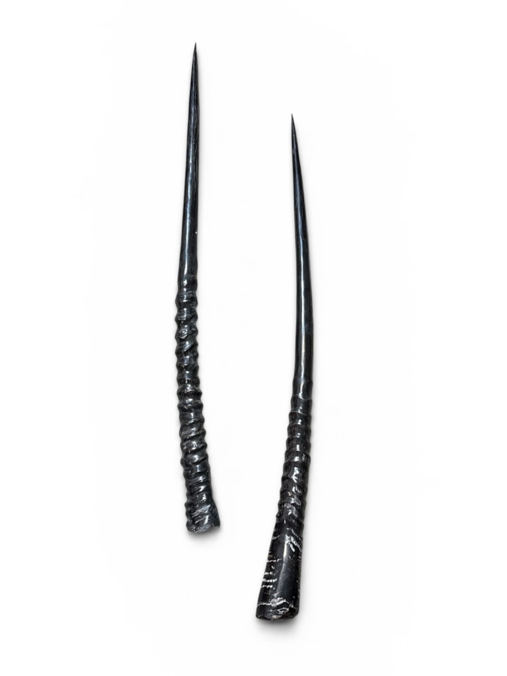 Polished Pair Oryx Gemsbok Horns 30 1/2” Pair Oryx Twised Polished Horns Antlers - Picture 3 of 5
